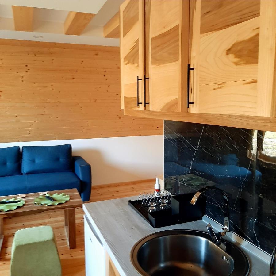 Holiday Home Ella Mokra Gora - Apartman Ella Buitenkant foto